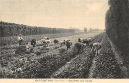84-CARPENTRAS-N°2141-A/0221 - Carpentras