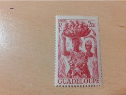 TIMBRE   GUADELOUPE       N  204    COTE  1,25   EUROS  NEUF  TRACE  CHARNIERE - Nuovi