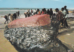 Pêche --1978-- Scène De Pêche En Côte D'Ivoire ( Très Animée )  éd Iris - Fischerei