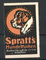 Reklamemarke Spratt's Hundekuchen, Barbarino & Kilp Gmbh, München, Portrait Eines Bernhardiners  - Erinnofilie