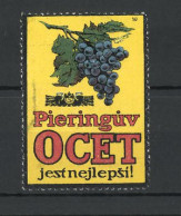 Reklamemarke Pieringuv Ocet Jest Nejlepsi!, Weinrebe  - Erinnophilie