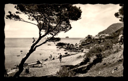 83 - LA SEYNE-SUR-MER - PLAGE DE LA VERNE - La Seyne-sur-Mer