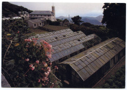 ASCENSION ISLAND - THE FARM ON GREEN MOUNTAIN (10 X 15cms Approx.) - Ascension