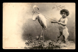 BERGERET - BEBE - HERON - Bergeret