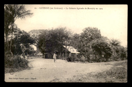 GUYANE - ENVIRONS DE CAYENNE - LA COLONIE AGRICOLE DE MONTJOLY EN 1903 - Sonstige & Ohne Zuordnung