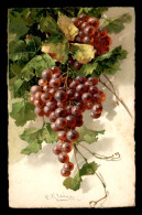 ILLUSTRATEURS - KLEIN - GRAPPE DE RAISIN - Klein, Catharina