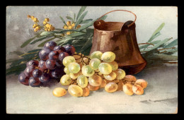 ILLUSTRATEURS - KLEIN ? - GRAPPES DE RAISINS - Klein, Catharina