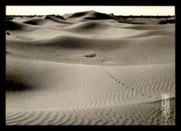 MAROC - ZAGORA - DANS LA HAMADA - EDITION PHOTO BERTRAND, MARRAKECH - Other & Unclassified