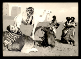 MAROC - ZAGORA - LES HOMMES BLEUS - EDITION PHOTO BERTRAND, MARRAKECH - Other & Unclassified