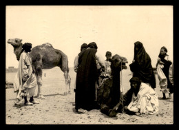 MAROC - ZAGORA - SCENE AUX M'HAMID - EDITION PHOTO BERTRAND, MARRAKECH - Autres & Non Classés