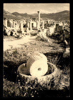 MAROC - VOLUBILIS - MOULIN A GRAIN - SERIE VISAGE PHOTOGRAPHIQUE DU MAROC - EDIT BERNARD ROUGET, CASABLANCA  - Other & Unclassified