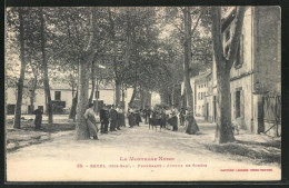 CPA Revel, Promenade, Avenue De Soreze  - Revel