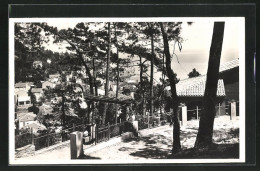 CPA Le Lavandou, Dansq Lee Pinéde  - Le Lavandou