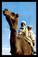 SCENES ET TYPES - MAROC - SAHARA - RENCONTRE AU DESERT - CHAMEAU - EDITEUR JEFF - Andere & Zonder Classificatie