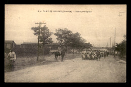 33 - CAMP MILITAIRE DE SOUGE - ALLEE PRINCIPALE - Autres & Non Classés