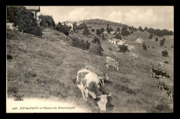 73 - AIX-LES-BAINS - PLATEAU DU REVARD - VACHES - Aix Les Bains