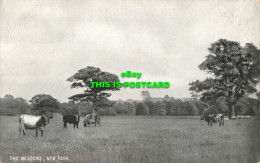 R603131 New Park. The Meadows. Postcard - Wereld