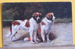 (AN1) CANE - DOG - COPPIA DI  SAN BERNARDO ILLUSTRATA M. SCHÖNIAN , MUNCHEN - NON  VIAGGIATA - Hunde