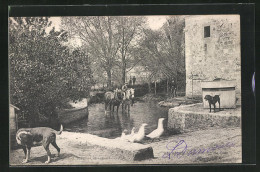 CPA Viarmes, De Moulin De Giez  - Viarmes