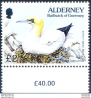 Defintiva. Uccelli 1995. - Guernsey