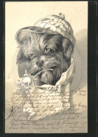 Lithographie Hund Als Kavalier Mit Rose  - Hunde