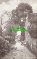 R603273 A Sussex Lane. Artistic Photographic. E. Dalglish - World