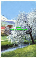 R603274 Spring. Flowering Tree By The River. Nenke And Ostermaier. Photochromie. - World