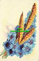 R603296 Cornflowers. Postcard - World