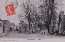 La Ferte Bernard (72 Sarthe) Le Mail - édit. Librairie Vve Tollet (carte Glacée Type Carte Photo) - La Ferte Bernard