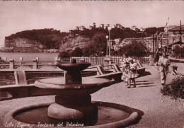 Celle Ligure Fontana Del Belvedere - Altri & Non Classificati