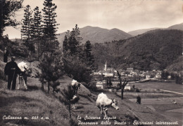 Calizzano La Svizzera Ligure Panorama Dalla Pineta Escursioni Interessanti - Autres & Non Classés