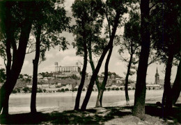 73943015 Bratislava_Pressburg_Pozsony_SK Uferpartie An Der Donau Blick Zur Burg - Slowakei