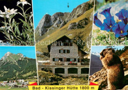 73755364 Bad-Kissingerhuette 1800m Aggenstein Panorama Alpenflora Murmeltier  - Fuessen