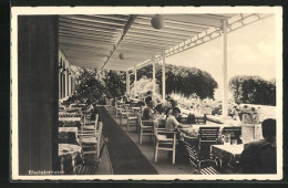 AK Rüdesheim A. Rh., Rheinterrasse, Wald Hotel Jagdschloss Niederwald  - Caza