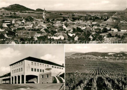 73596216 Oberrotweil Panorama Weinberge Gebaeude Oberrotweil - Autres & Non Classés