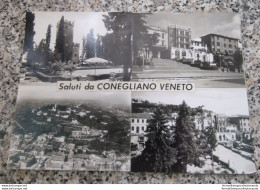 Bp2 Cartone Con Incollate 4 Bozze Cartoline Di Conegliano Veneto Treviso Veneto - Treviso