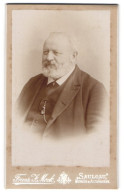 Fotografie Franz F. Mock, Saulgau, Portrait älterer Herr Im Anzug Mit Krawatte Und Vollbart  - Anonyme Personen