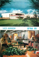 73327289 Nes Ammim Hotel Speisesaal Nes Ammim - Israël