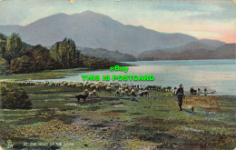 R601996 At Head Of Loch. Shepherd And His Flock. Tuck. Rapholette Series 8039 - Welt