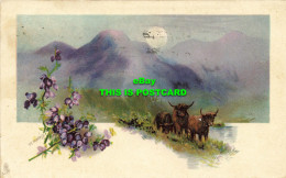 R601997 M. Morris. Tuck. Connoisseur Series No. 2772. In Highlands. 1910 - Welt