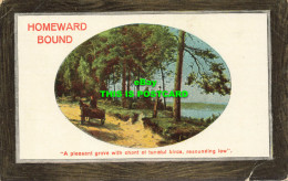 R602081 Homeward Bound. A Pleasant Grove With Chant Of Tuneful Birds Resounding - Mundo