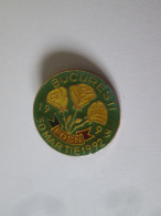 Insigne Roumanie:Le Parti FDSN 1 An 1992-1993,diametre=25 Mm/Romanian Badge:The FDSN Party 1 Year 1992-93,diameter=25 Mm - Associazioni