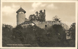 12042435 Arlesheim Schloss Birseck Ermitage Arlesheim - Andere & Zonder Classificatie