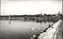 12015025 Estavayer-le-Lac Uferpartie Am Neuenburgersee Segelboot Schwaene Estava - Sonstige & Ohne Zuordnung