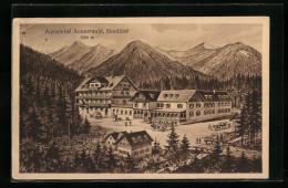 Künstler-AK Reutte, Alpenhotel Ammerwald  - Other & Unclassified