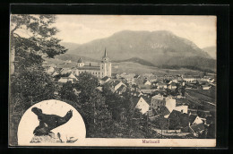 AK Mariazell, Ortsansicht Mit Kirche, Auerhahn  - Autres & Non Classés