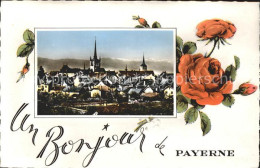 11919805 Payerne Rosenblume Payerne - Andere & Zonder Classificatie