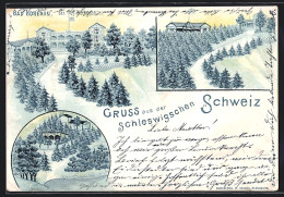 Lithographie Bad Hohenau / Ostseebad, Ansicht Des Gutshauses Am Berg  - Other & Unclassified