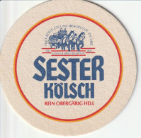 Sester Kölsch - Sotto-boccale