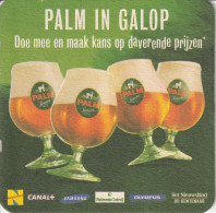 Palm - Bierviltjes